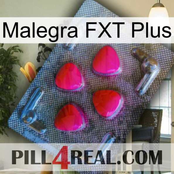 Malegra FXT Plus 13